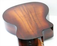 Taylor 224ce-Koa DLX_4