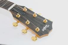 Taylor 224ce-Koa DLX_7