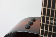 Taylor 224ce-Koa DLX_8