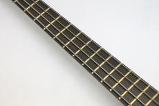 Warwick Custom Shop Master Built Streamer Stage I 4st / Nirvana Black Transparent Satin_4