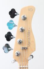 Sire V7 Ash-4 Reissue / TS.S_3