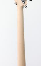 Sadowsky MetroLine ML21 VJ4 ASH / Solid Candy Apple Red Metallic High Polish_7