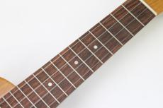 Famous FS-5G SET 【アクセサリーセット】_6