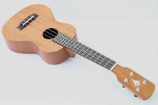 K.Yairi UC-M1【国産】【オール単板】_2