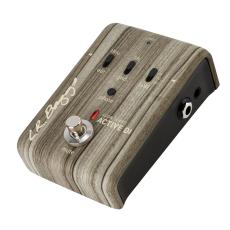 L.R.Baggs ActiveDI_2