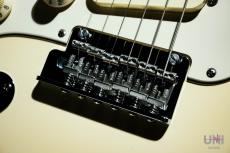 Fender American Professional Stratocaster Lefty/ 2019_7