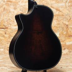 Taylor 50th Anniversary Builder's Edition 314ce LTD Natural_2