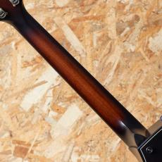 Taylor 50th Anniversary Builder's Edition 314ce LTD Natural_7