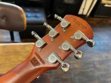 Pignose PGG-200MH_10