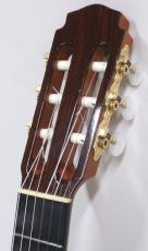 ロビン・グリーン ロビン・グリーン_2