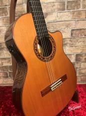 Jose Ramirez [ホセ・ラミレス] Estudio140 Cutaway エレガット 2024年製中古_3