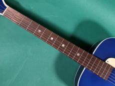 Silvertone N-2 KENTUCKY BLUE_7