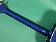 Silvertone N-2 KENTUCKY BLUE_8