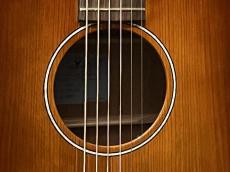 K.Yairi 【日本総本店】【635mmスケール】YT-2 VS  #95937【ショッピングクレジット分割無金利キャンペーン】_5