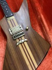FERNANDES Custom order _2