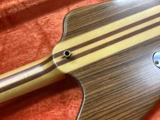 FERNANDES Custom order _7