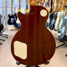 Epiphone Les Paul Standard Pro_2