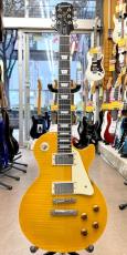 Epiphone Les Paul Standard Pro_3