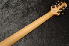 Sugi Custom Order DS496E Premium Grade Burl Maple/HM/Alder Super Nove 【カスタムカラー】【現地選定材】_10