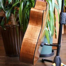 Martin GPC-12E Burst Rord Series Special_9