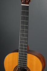 Antonio Lopez Maestro_6