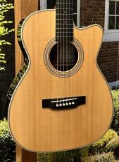 ASTURIAS 【日本総本店】【美品中古品】Solo Standard PU【48回無金利分割可能】