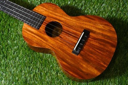 tkitki ukulele ECO-C Quince Concert【S/N 1629】
