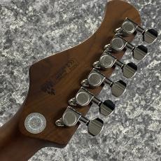 Bacchus TACTICS ASH/RSM -SBBD #GI15341 【3.81kg】_8