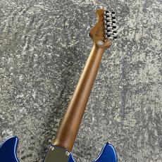 Bacchus BSH-850/RSM -LPB- #GI14725 【3.90kg】_7