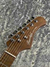 Bacchus BSH-850/RSM -OTM- #GI16007 【3.54kg】_4