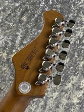 Bacchus BSH-850/RSM -OTM- #GI16007 【3.54kg】_8