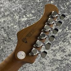 Bacchus BSH-850/RSM -OTM- #GI15990 【3.72kg】_8