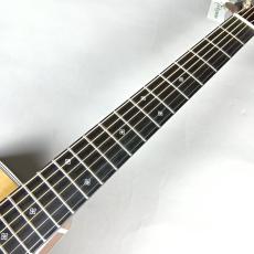 Takamine 【現物画像】【ショップオーダー品】TSP10CS-IZ【ギタラバ仙台2025】_3
