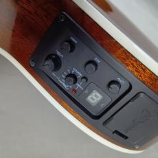 Takamine 【現物画像】【ショップオーダー品】TSP10CS-IZ【ギタラバ仙台2025】_10