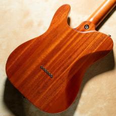 Kz Guitar Works Kz TL Trad 22 MHS3 New Guinea Rosewood Top Natural_5