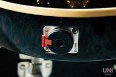 Gibson Les Paul Standard 2008 / 2010_7