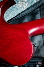 SOLAR Guitars T1.7TBR_10