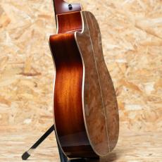 Taylor C24ce Grand Auditorium Custom_5