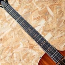 Taylor C24ce Grand Auditorium Custom_6