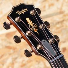 Taylor C24ce Grand Auditorium Custom_8