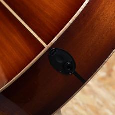 Taylor C24ce Grand Auditorium Custom_10