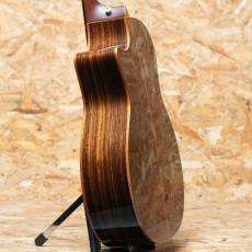 Taylor C14ce Grand Auditorium Custom 2024_5