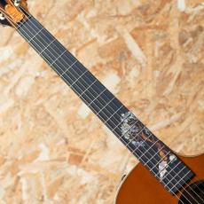 Taylor C14ce Grand Auditorium Custom 2024_6