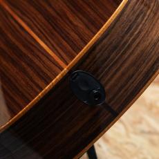 Taylor C14ce Grand Auditorium Custom 2024_10