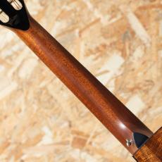 Taylor C12ce 12-Fret Grand Concert Custom 2024_7