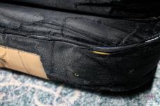 ESP 助平 Pink "WANIMA/KENTA Model"_11