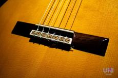 Kohno Masaru [河野賢] No.20 松/ハカランダ 660mm / 1976_6