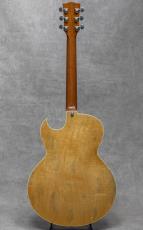 Daniel Slaman Guitars Hybrid Sister/175 / 2022_4