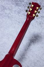 Tokai 【オリジナルモデル!】LS101F MS Slim Neck Cherry Sunburst s/n2551134【4.57kg】_8