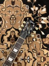 Tokai 【限定生産モデル】LS-101F-CM "Reborn OLD" -Honey Burst- #2551366【4.48kg】_6